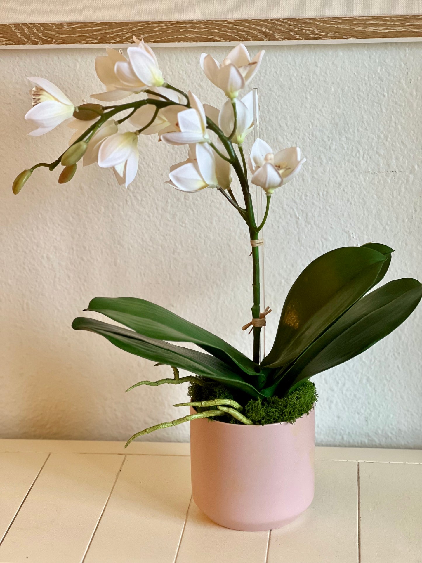 Valentine's Cymbidium Orchid in Pink Pot