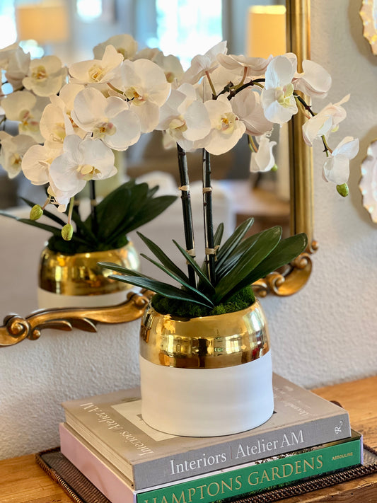 White Orchid Arrangement in White and Gold Pot
